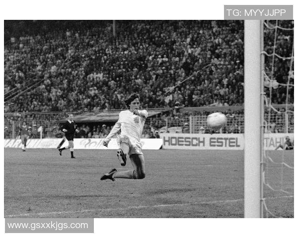 足球明星精彩进球集锦视频回顾让你重温经典瞬间与激情时刻